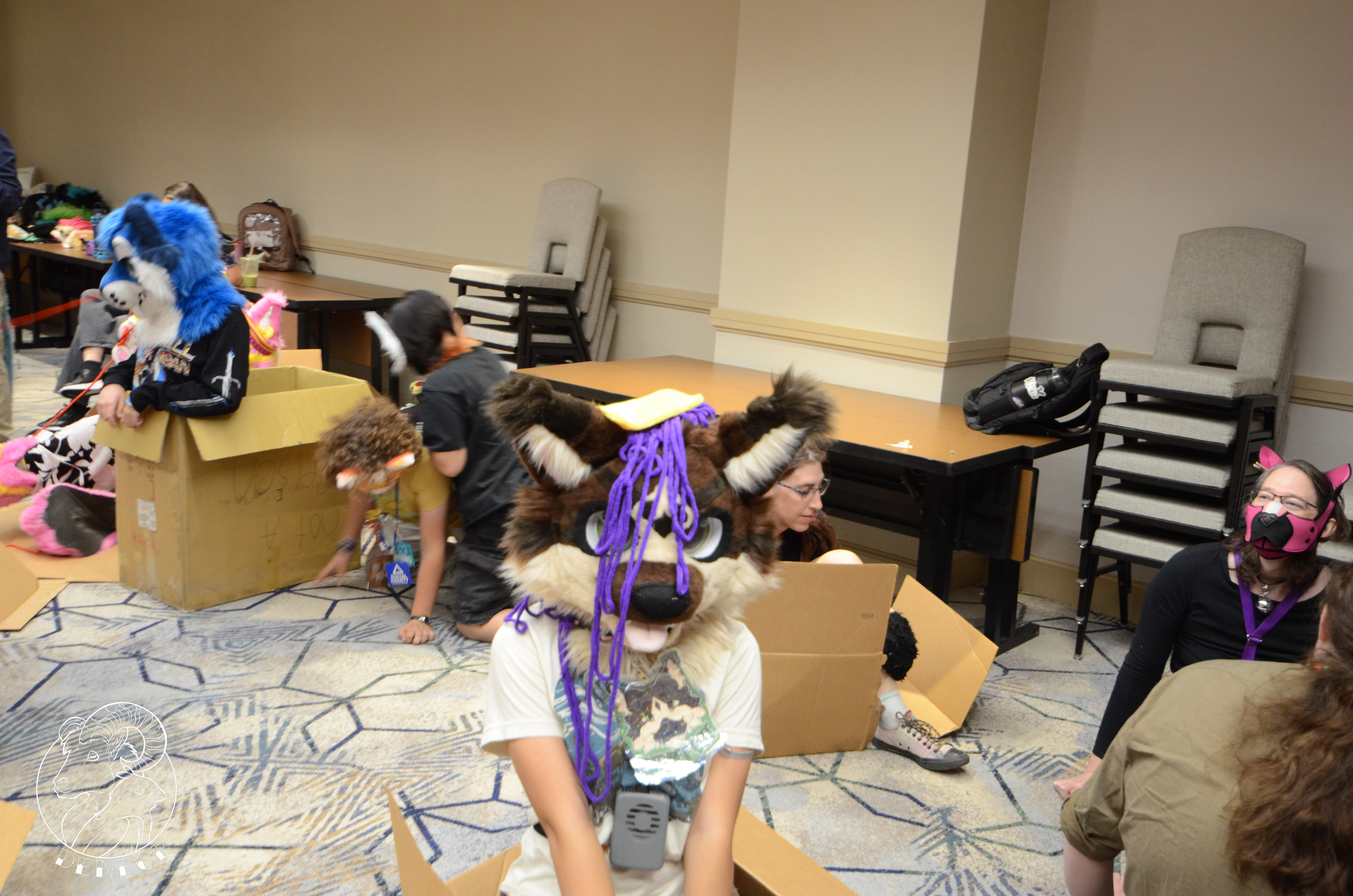 2026 - Feline Playtime Panel
