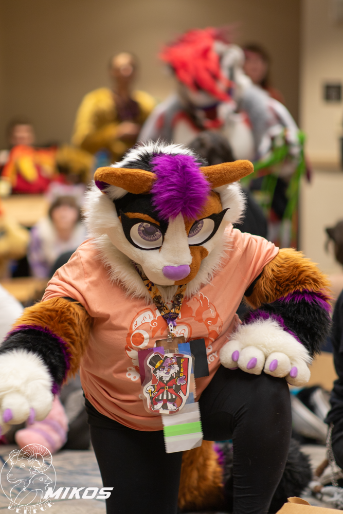 2026 - Feline Playtime Panel