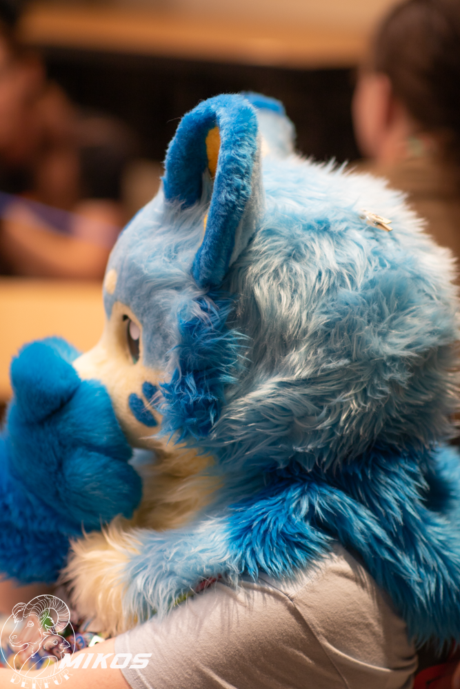 2026 - Feline Playtime Panel