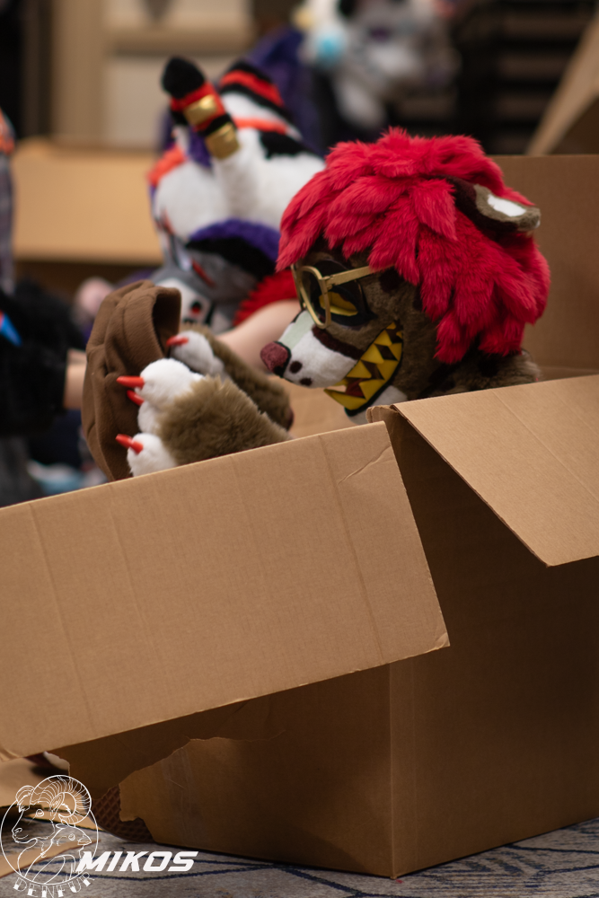 2026 - Feline Playtime Panel
