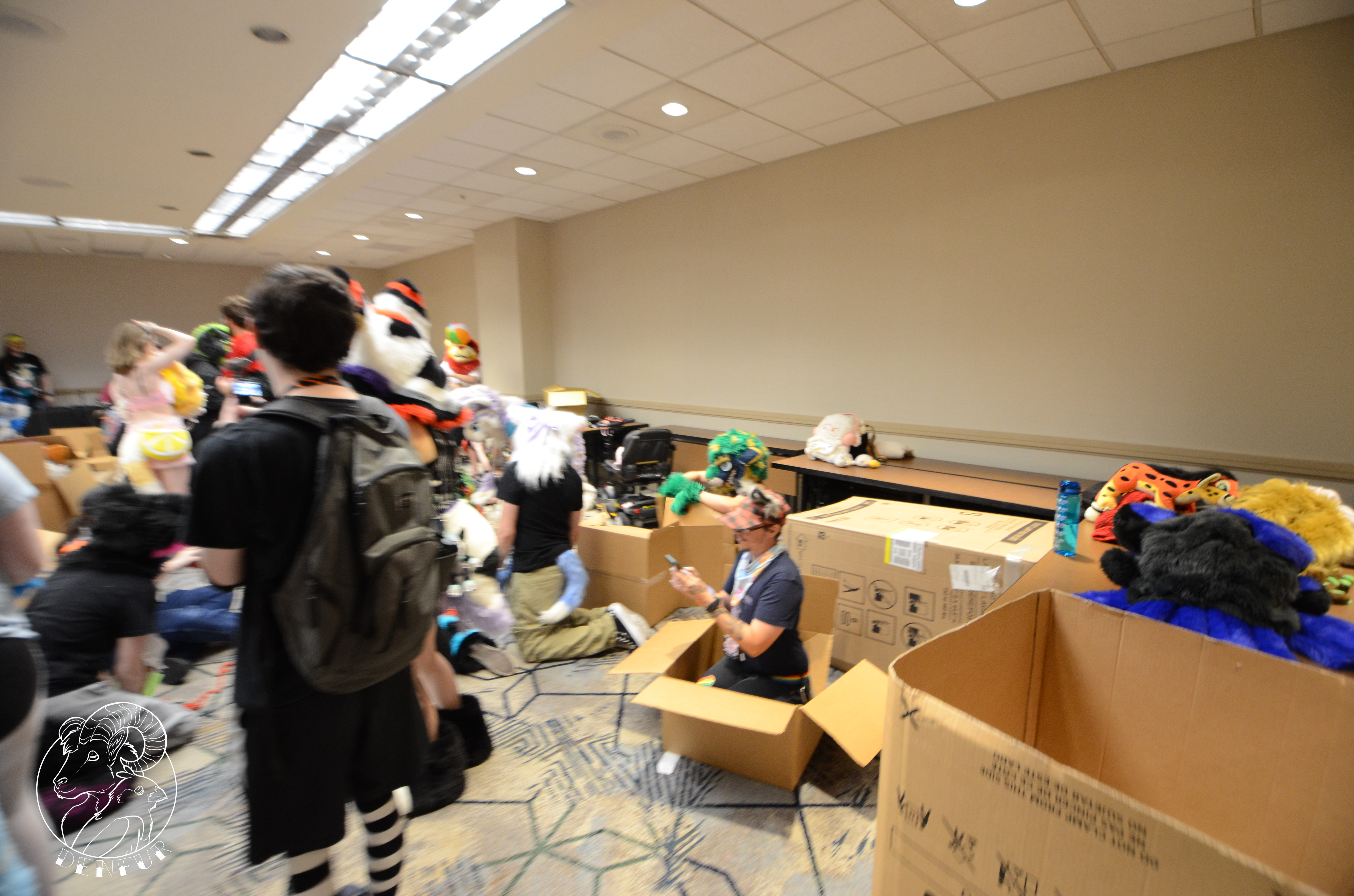 2026 - Feline Playtime Panel