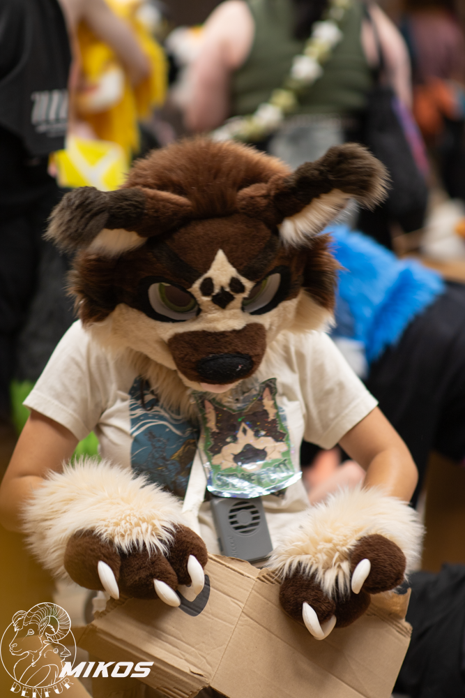 2026 - Feline Playtime Panel