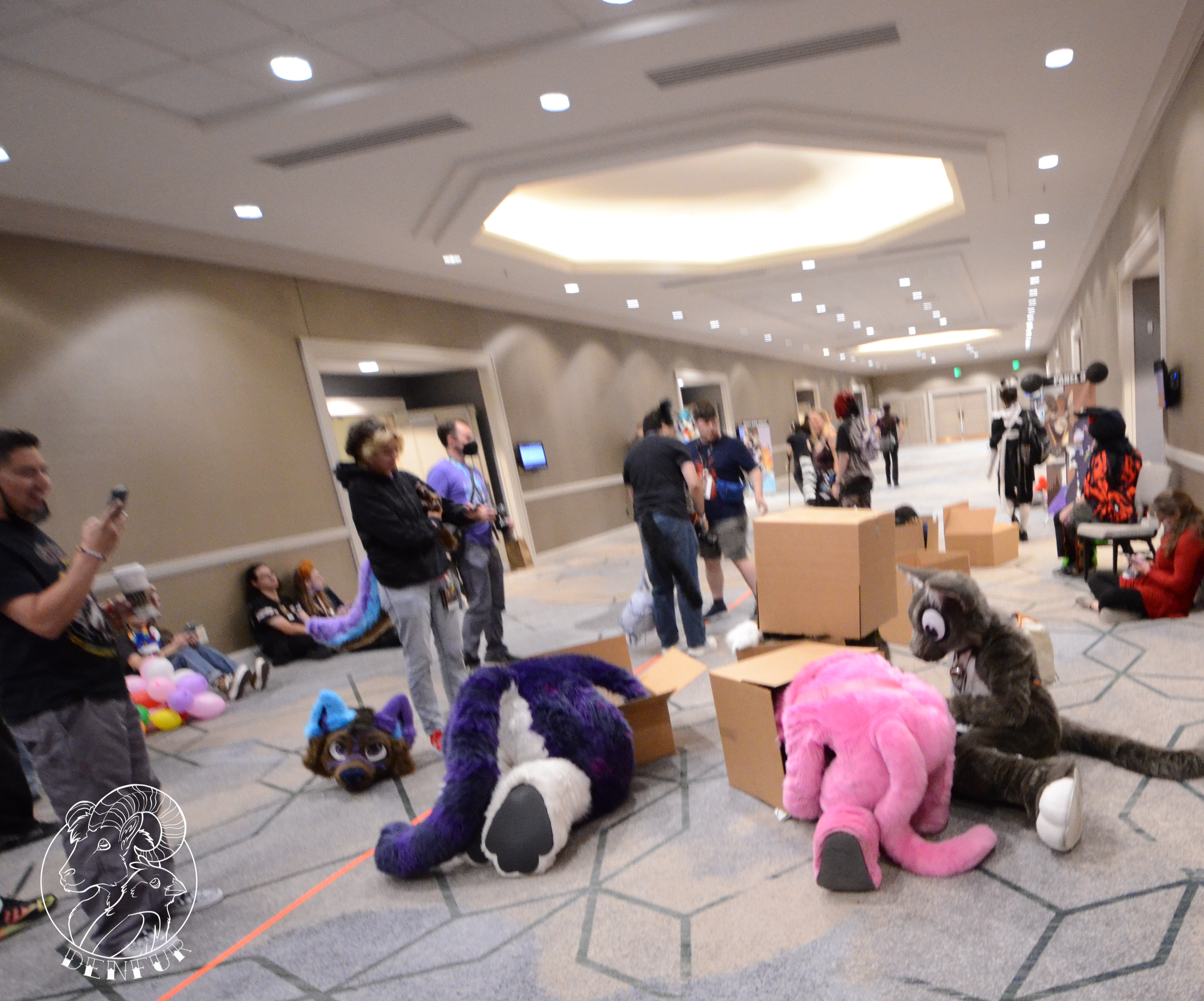 2026 - Feline Playtime Panel