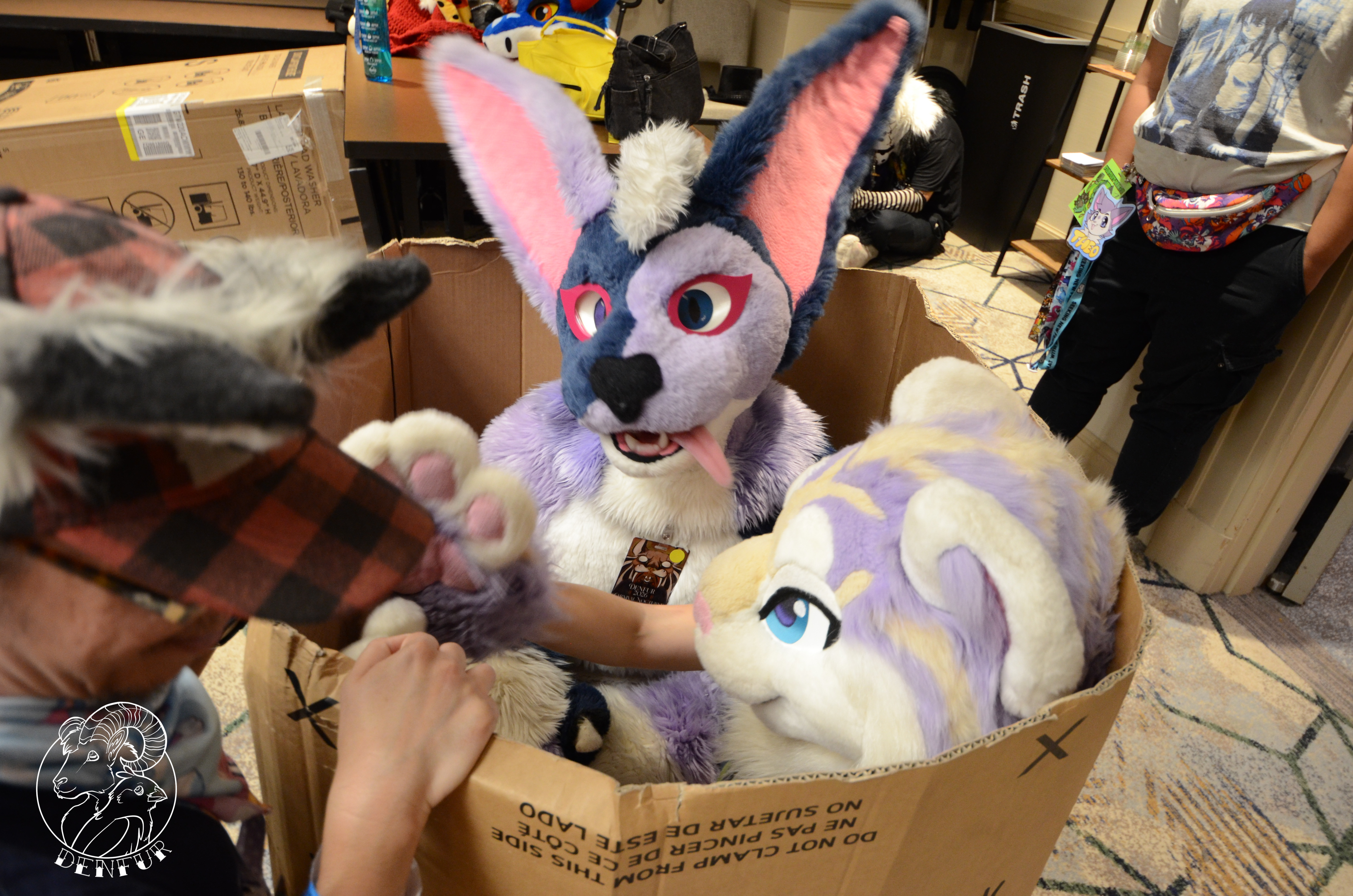 2026 - Feline Playtime Panel
