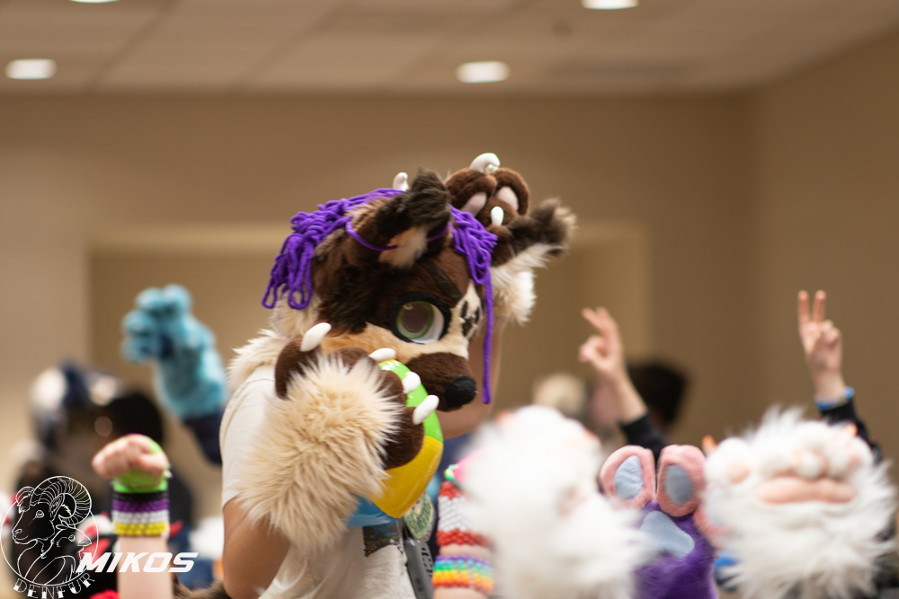 2026 - Feline Playtime Panel