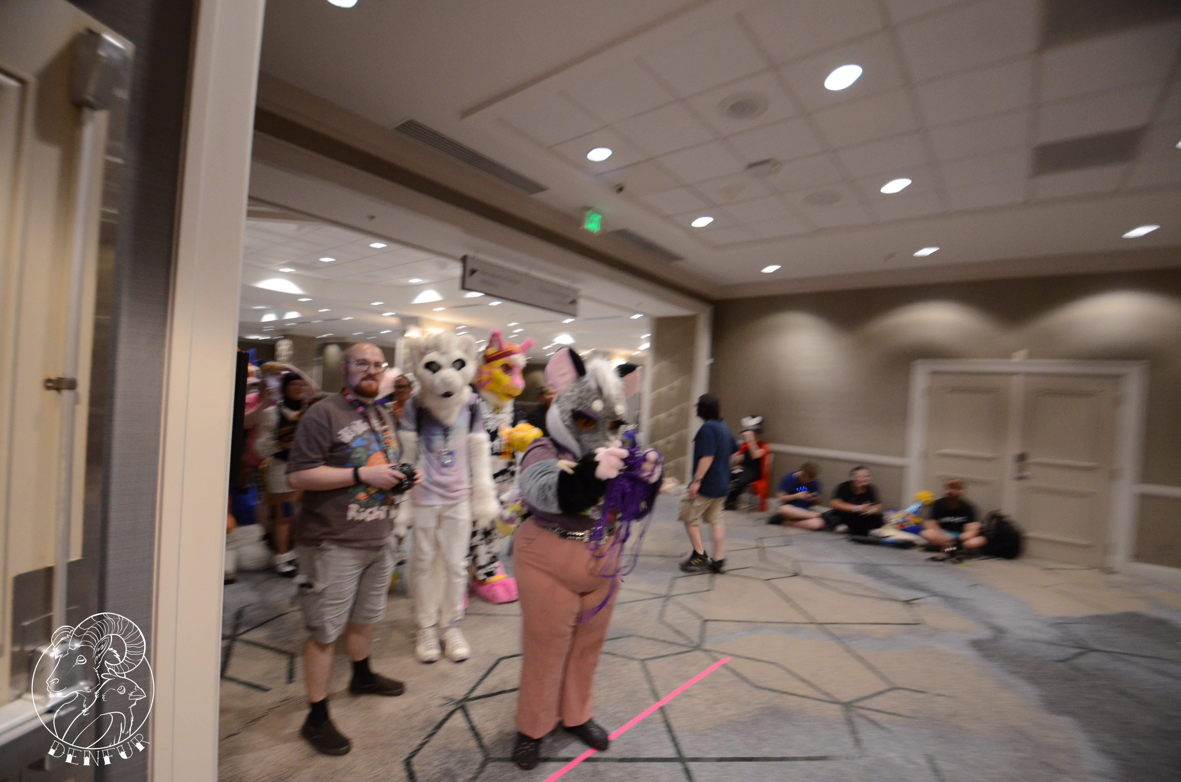 2026 - Feline Playtime Panel