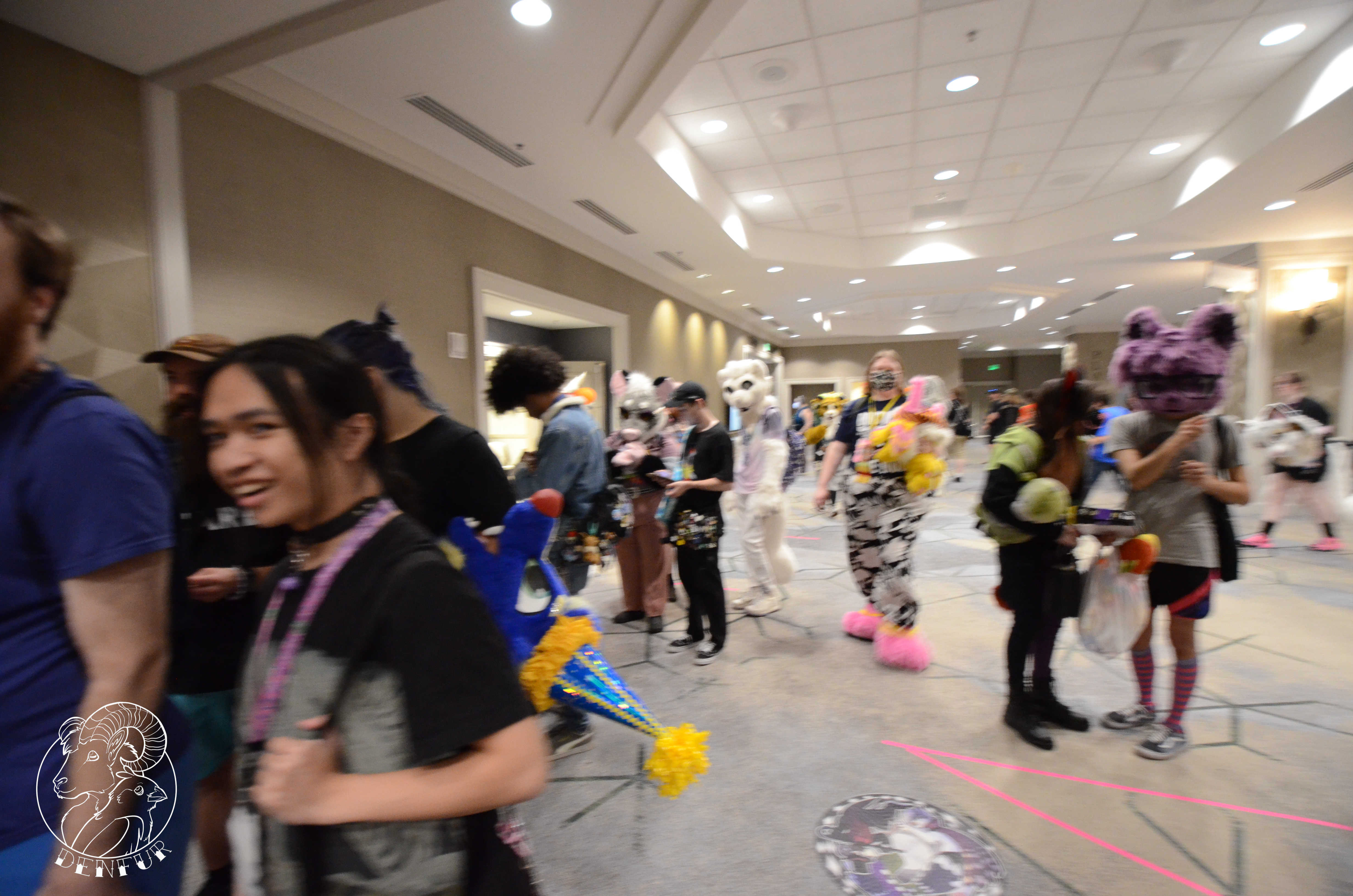 2026 - Feline Playtime Panel