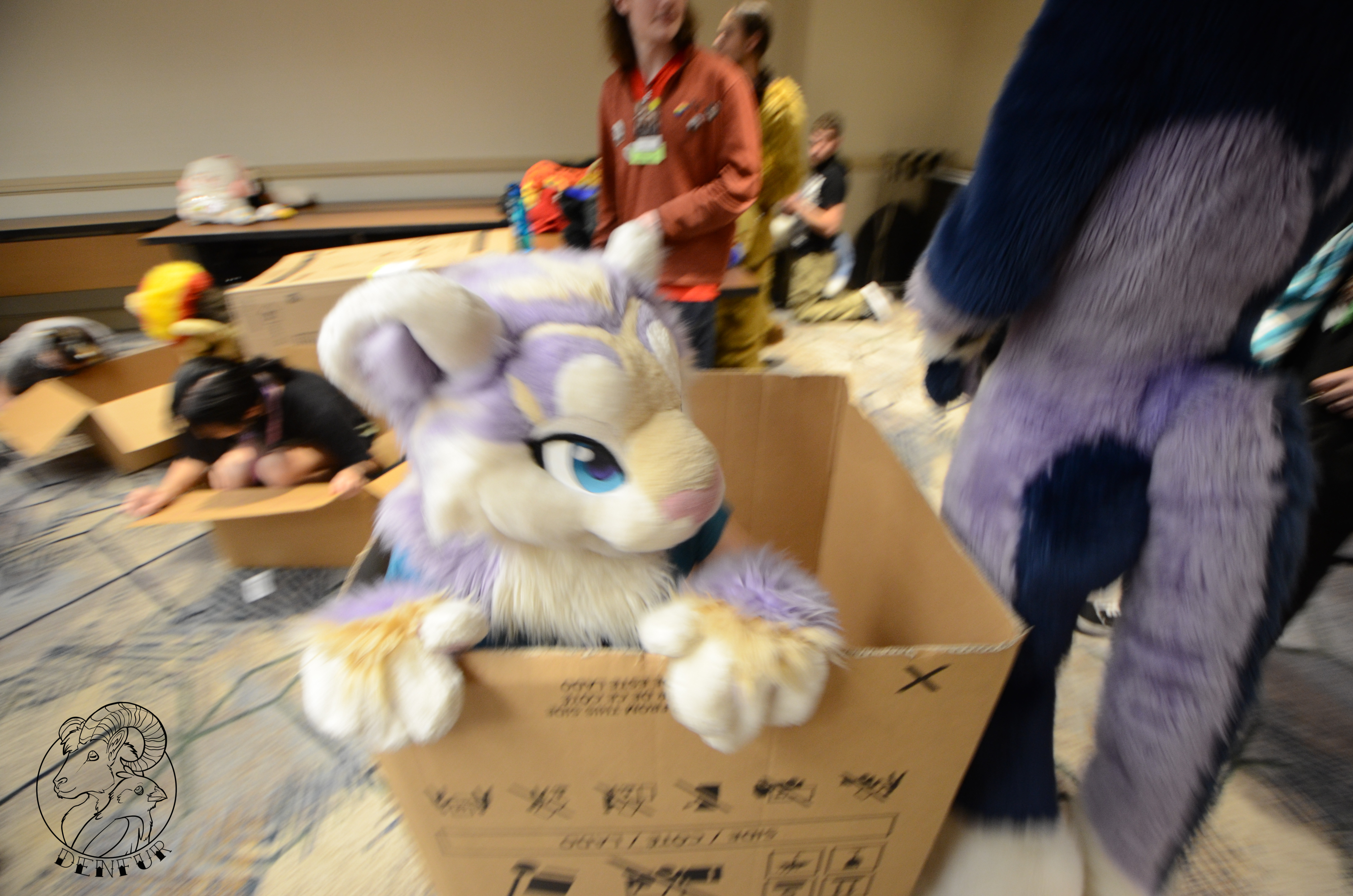 2026 - Feline Playtime Panel