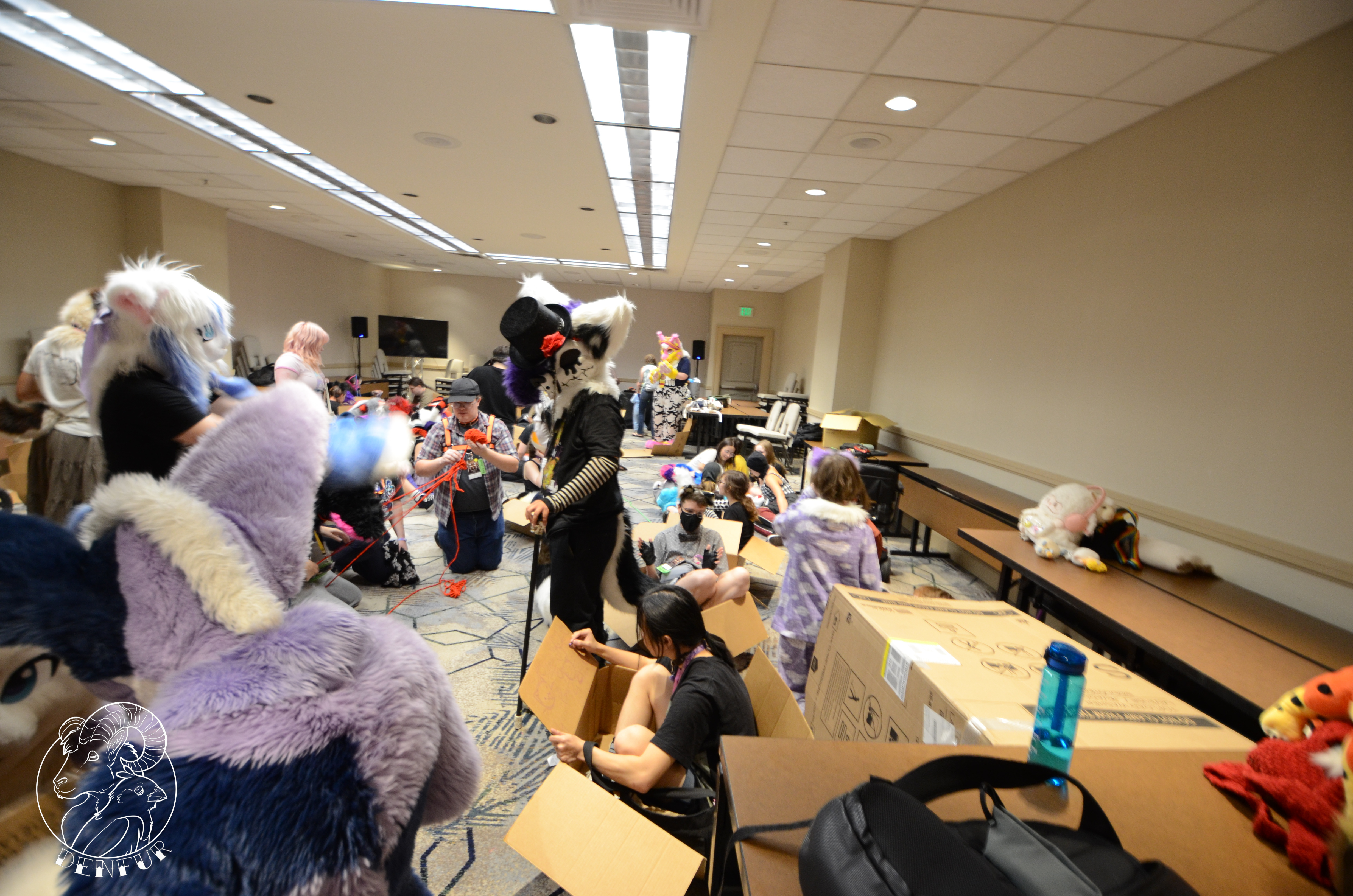2026 - Feline Playtime Panel