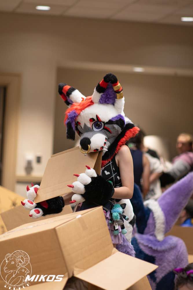 2026 - Feline Playtime Panel