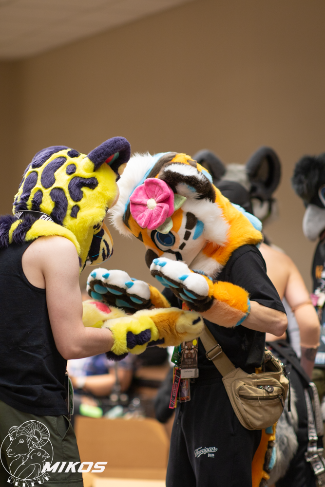 2026 - Feline Playtime Panel