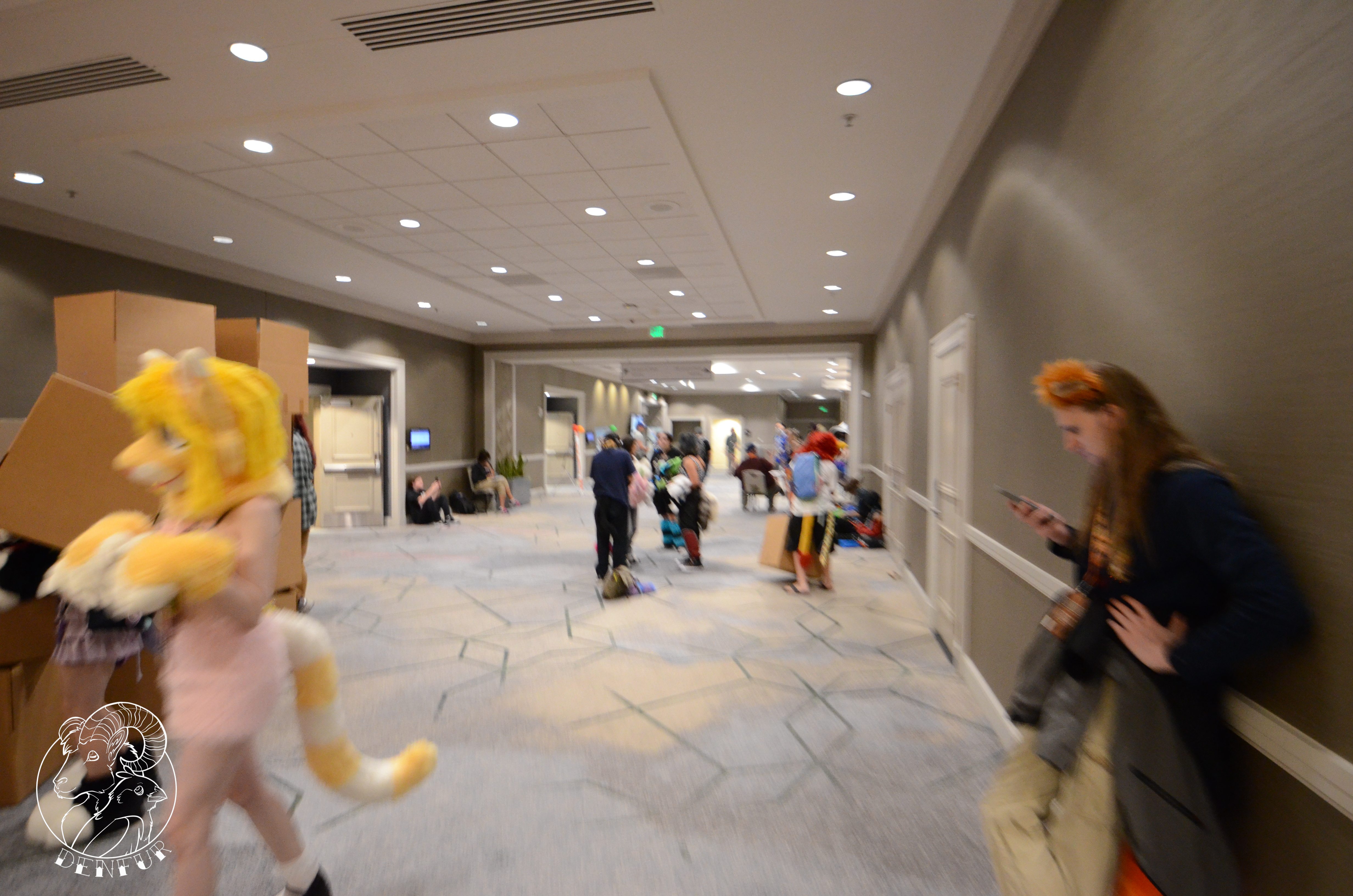2026 - Feline Playtime Panel