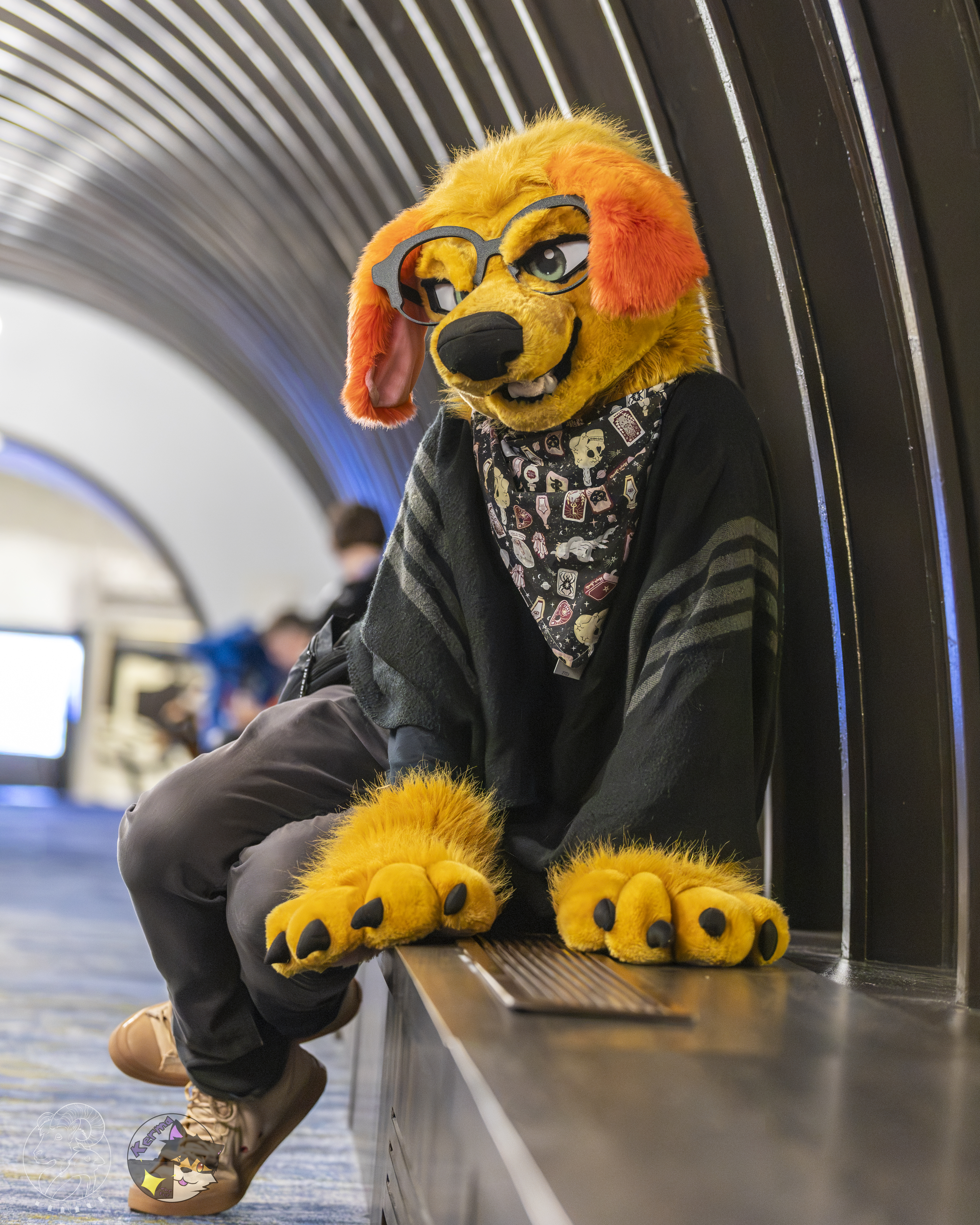 2026 - Roaming